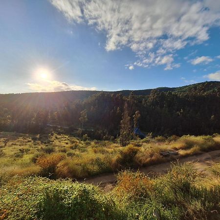 Cabana El Pariente Daire Quillota Dış mekan fotoğraf